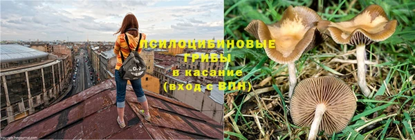 каннабис Алзамай